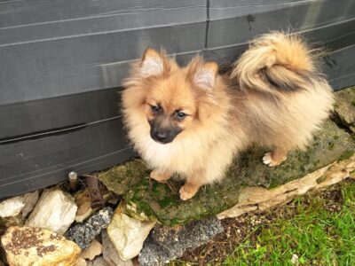 WhatsApp Image 2026-03-29 at 17.56.27d WhatsApp Image 2026-03-29 at 17.56.27d