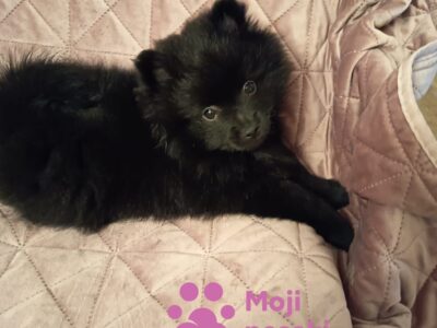 WhatsApp Image 2026-03-29 at 18.00.01 WhatsApp Image 2026-03-29 at 18.00.01