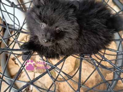 WhatsApp Image 2026-03-29 at 18.00.02f WhatsApp Image 2026-03-29 at 18.00.02f